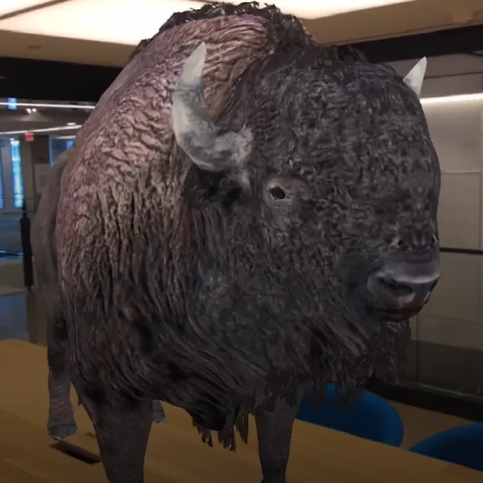 a photo showing a 3d buffalo on a conference room table